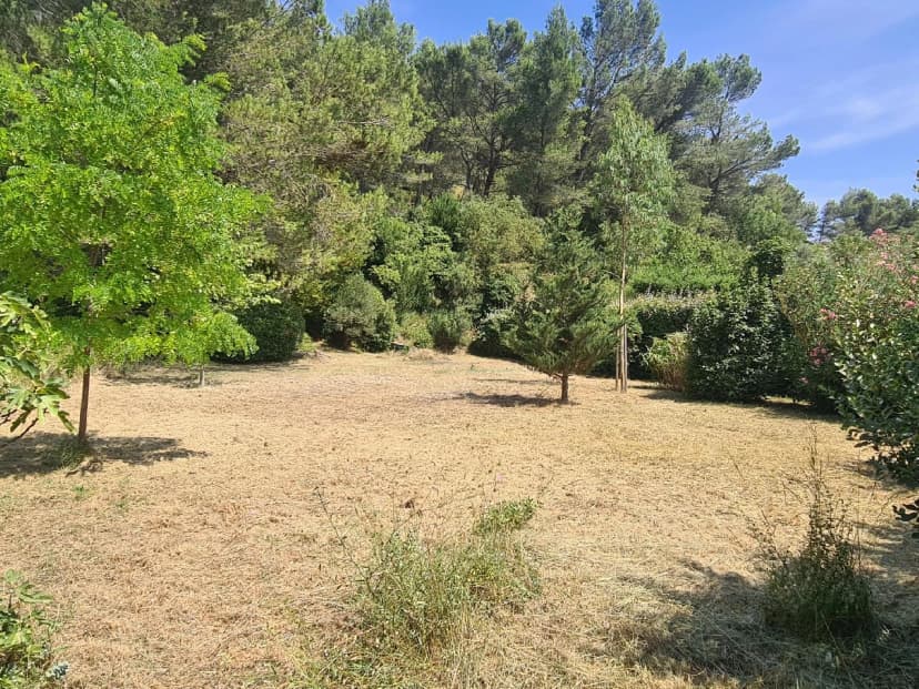 thumbnail of estate's photo